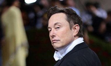 Twitter users want Elon Musk step down as CEO in poll