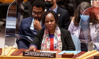 UN Security Council delegation to assess security in DR Congo