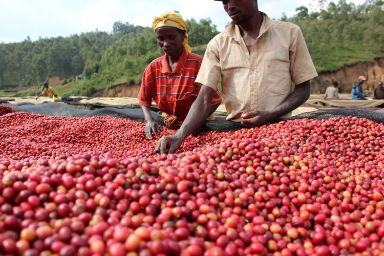 Burundi gets $261 million IMF loan