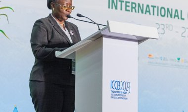 Rwanda calls for joint efforts to safeguard planet's natural heritage