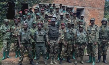 M23 rebels welcome US-brokered ceasefire in eastern DR Congo