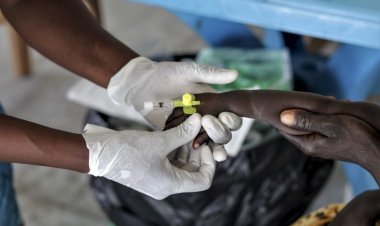 Cape Verde 3rd African nation to eliminate malaria