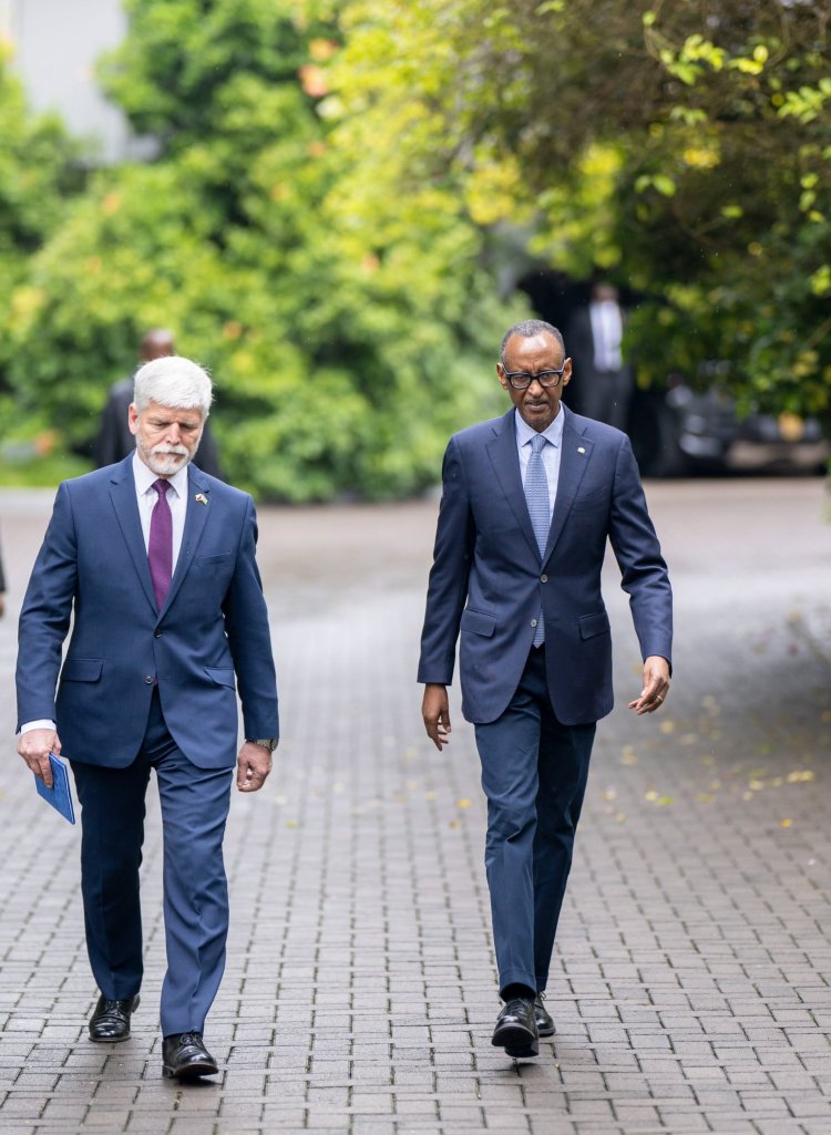 Rwanda, Czech Republic seek to strengthen cooperation in health