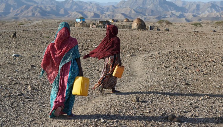 World Bank, UN call for efforts to tackle water insecurity, climate crisis in Horn of Africa