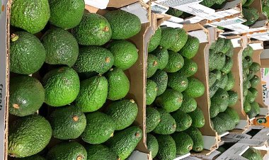 Kenya reports rising exports to African nations