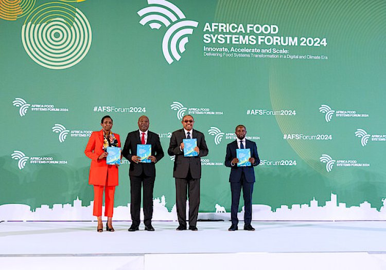 Africa Food Systems Forum calls for innovation, investment for food security