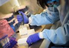 Rwanda to begin trials for vaccine, treatment for Marburg virus