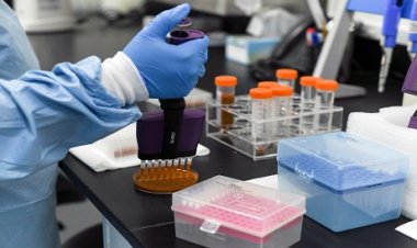 Rwanda records 7 more Marburg virus disease cases as death toll rises to 11