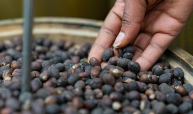 AGOA extension brings relief, yet policy uncertainty clouds US-Africa trade future