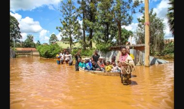23 killed as heavy rains wreak havoc in Kenya