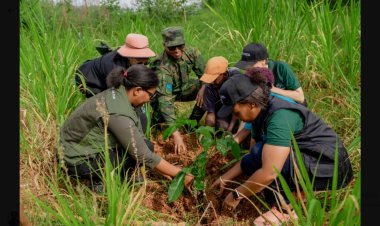 Rwanda launches new restoration project to strengthen climate resilience