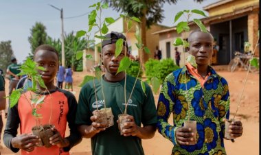 Green Climate Fund approves $440M for Africa
