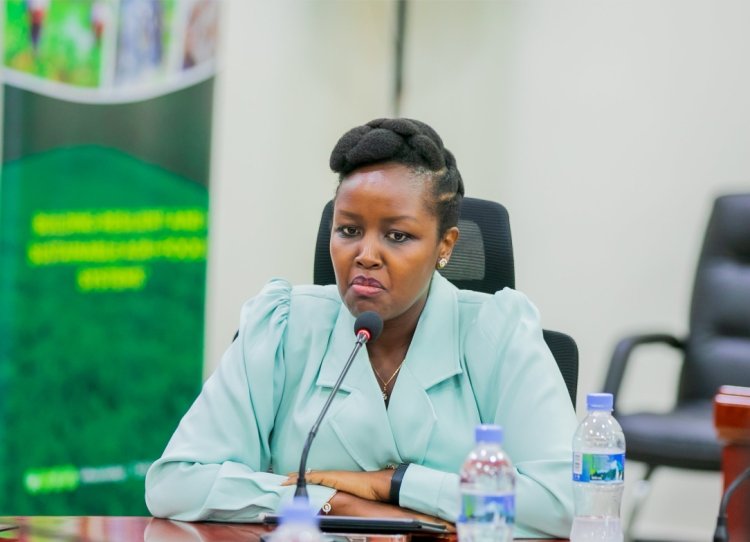 Rwanda considers social media ban for under-16s: official